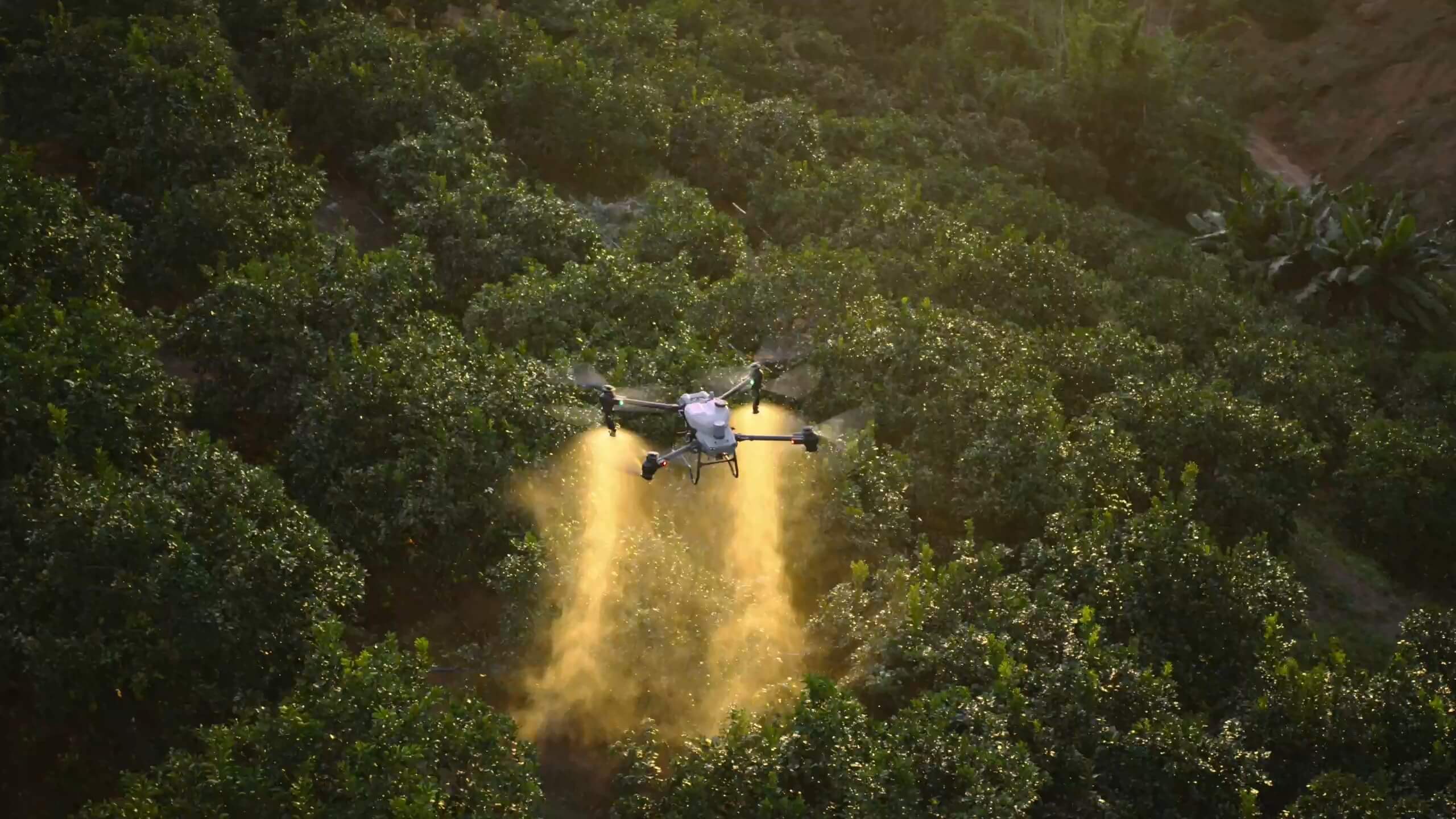 Drone aplicando producto de manera precisa sobre cultivo