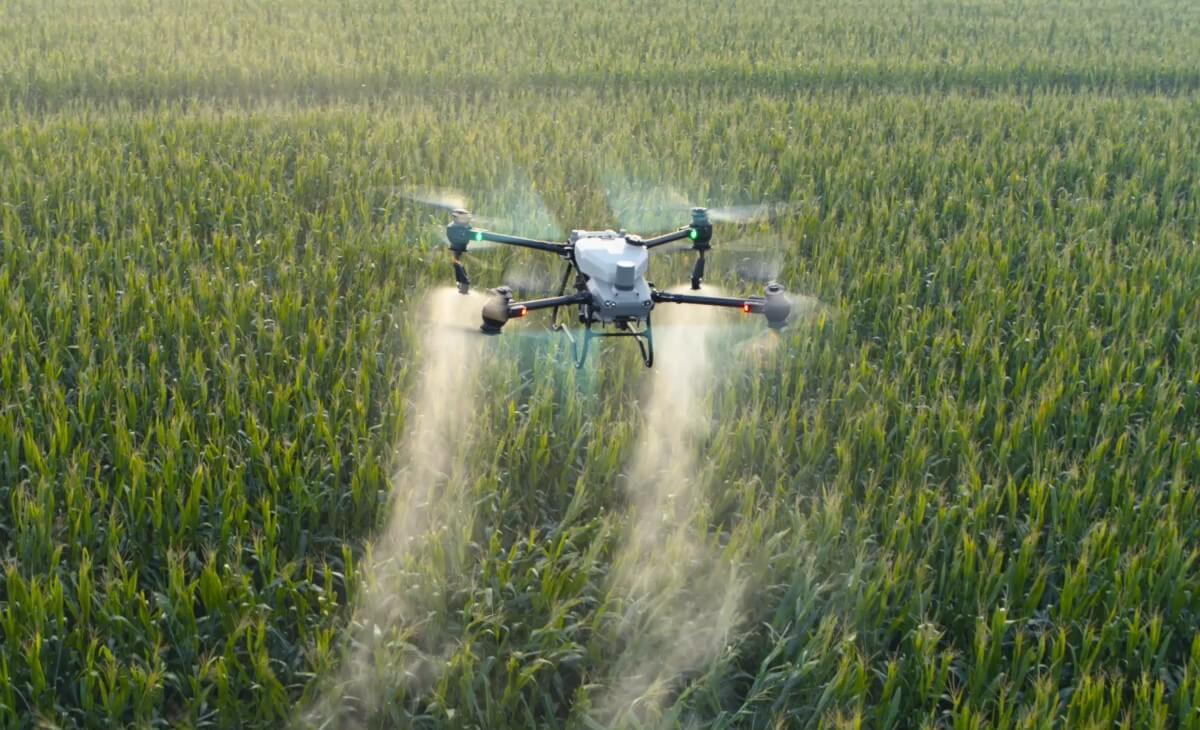 Pulverización con Drone en cultivo